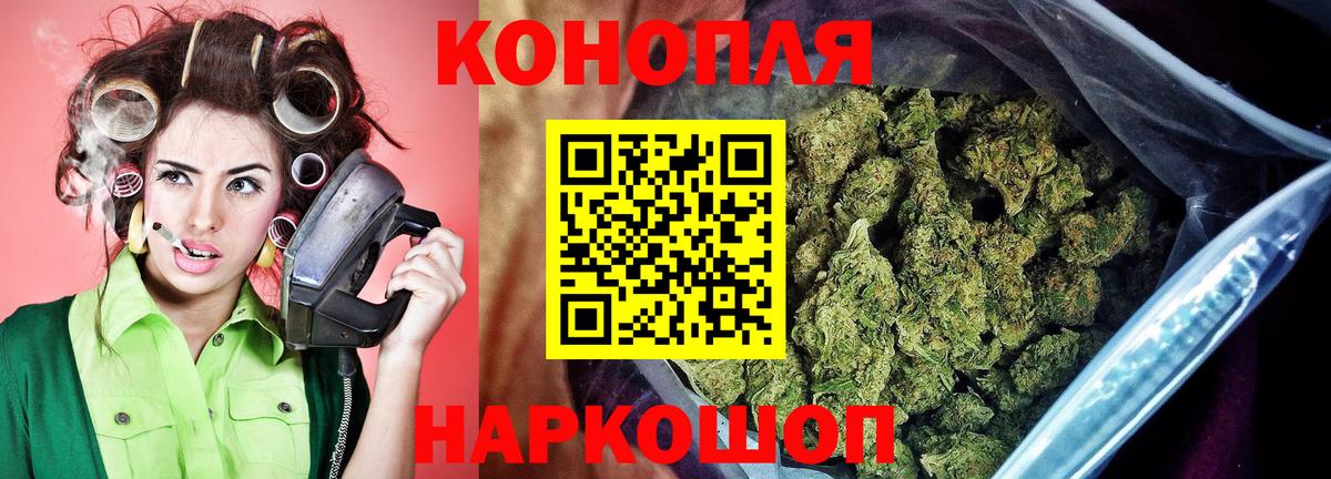 Бошки Шишки MAZAR Моздок